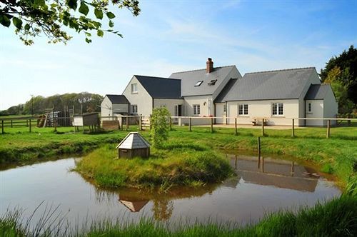 The Paddock Bed and Breakfast Haverfordwest Eksteriør billede